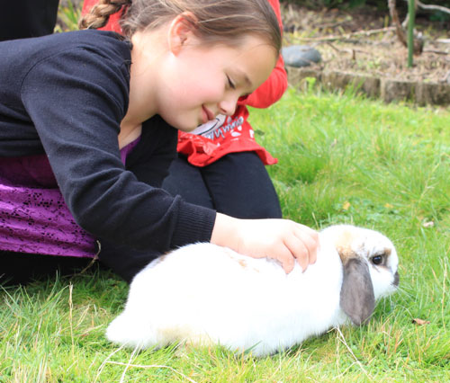 A child gently petting a rabbit in the grass